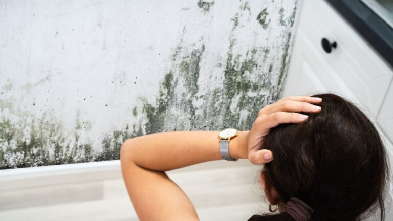 mold toxicity