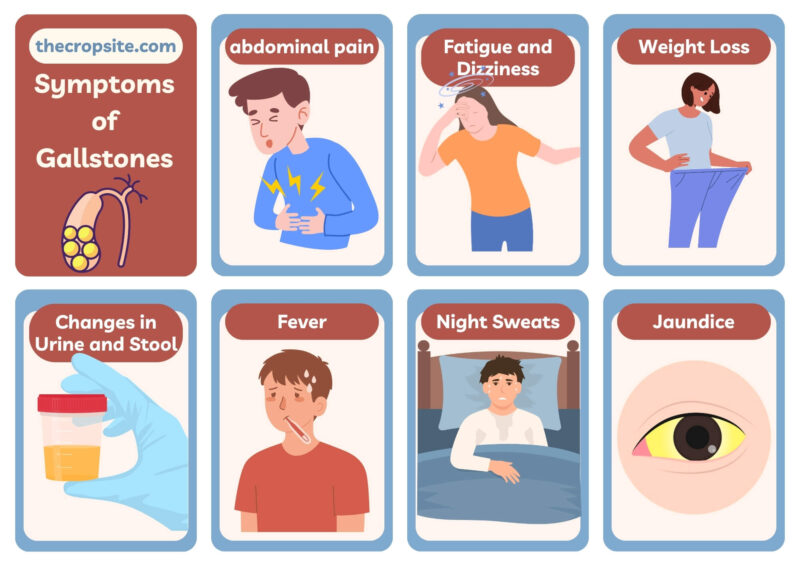 Symptoms of Gallstones