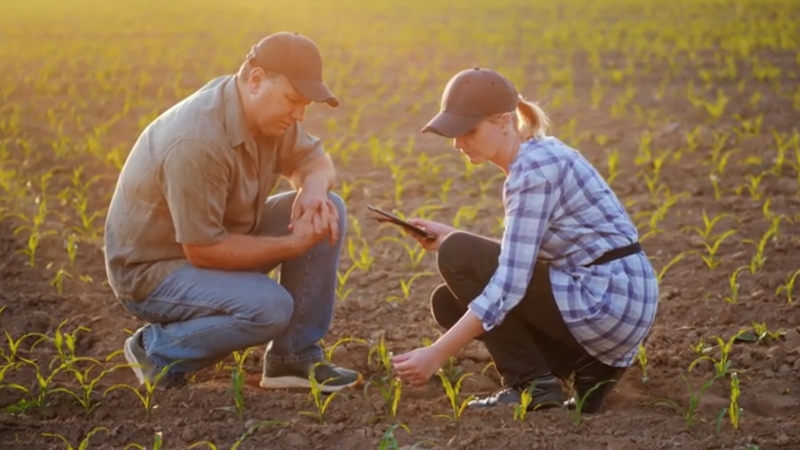 Farmers inspecting young crops with GPS guidance systems to address field limits