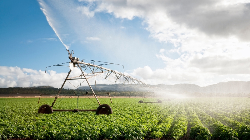 A center pivot irrigation system sprays water across a green crop field under a partly cloudy sky