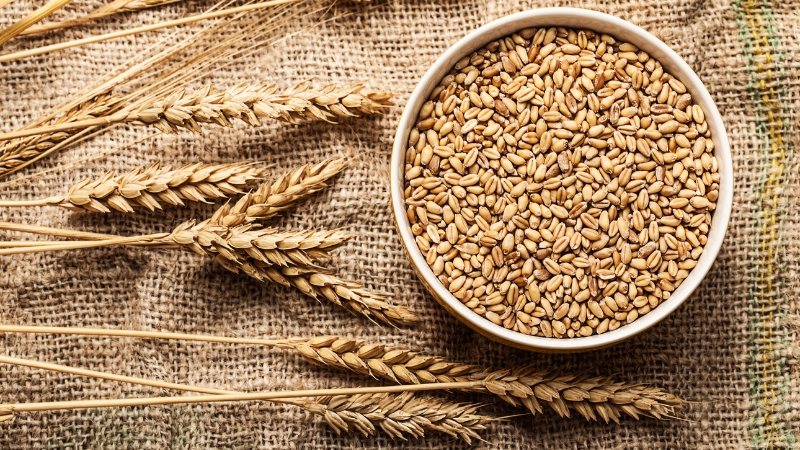 A bowl filled with wheat grains and stalks on burlap fabric illustrates the concept of what is a bushel in agriculture
