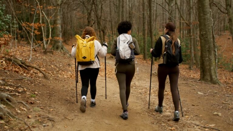 Three hikers with backpacks walking on a trail through a forest, highlighting key outdoor essentials